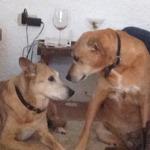 Lo de Jacinto Empanadas